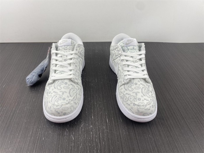 Nike Dunk Low DJ9955-100