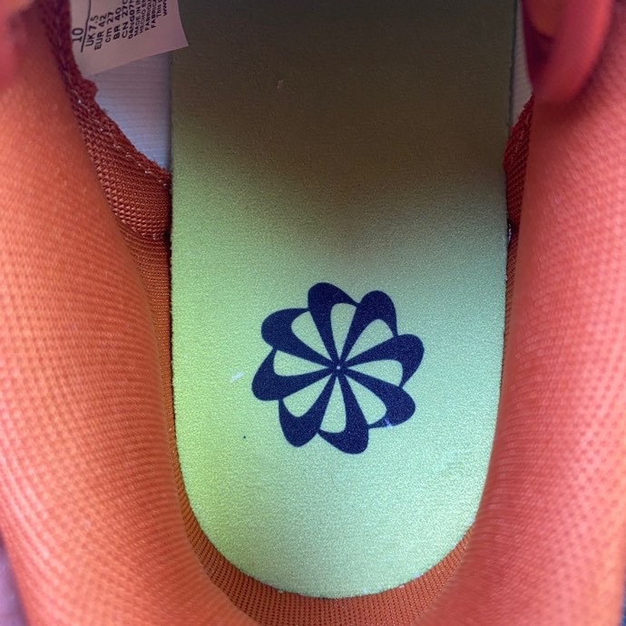 Nike SB Dunk Low DR5475-100