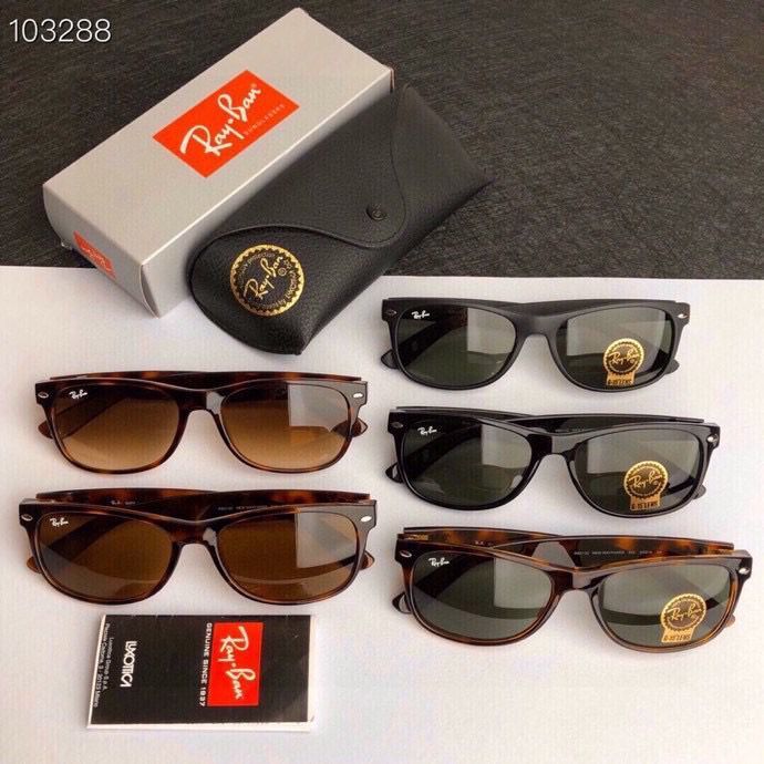 R*ayban Glasses Top