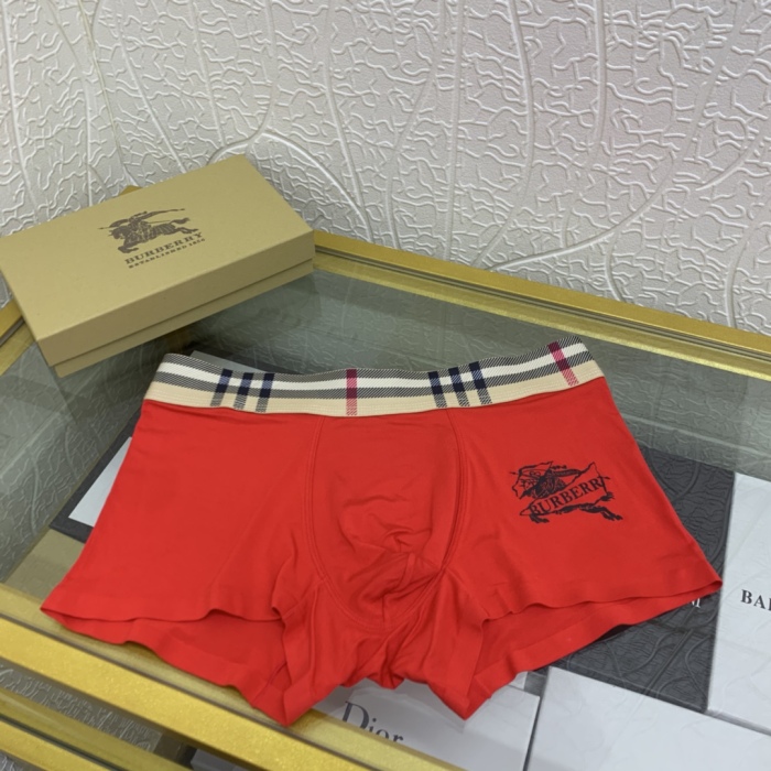 Underpants Top 3 Pieces