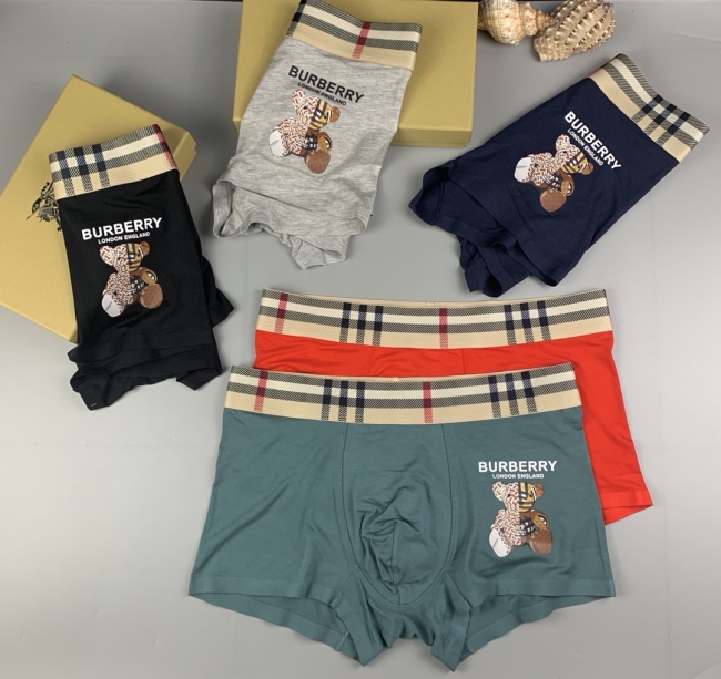 Underpants Top 3 Pieces