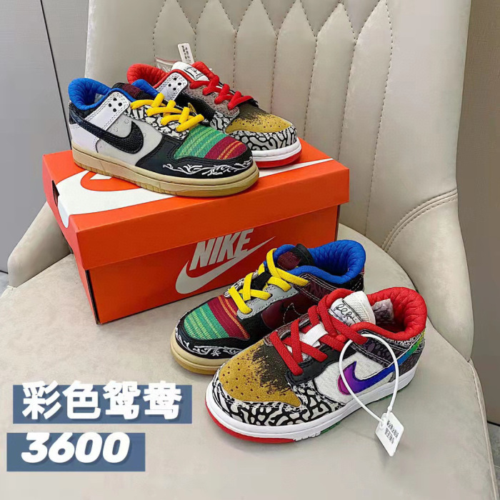 Kids SB Dunk Shoes