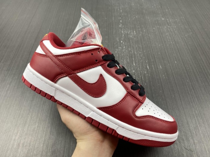 Nike SB Dunk Low DD1391 602