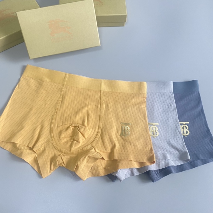 Underpants Top 3 Pieces