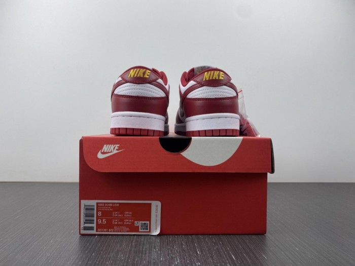 Nike SB Dunk Low DD1391 602