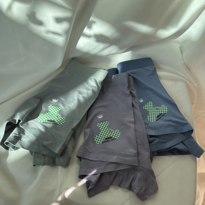 Underpants Top 3 Pieces