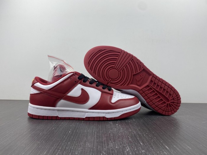 Nike SB Dunk Low DD1391 602