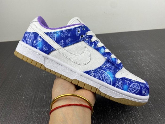 N*ike SB Dunk Low Retro SP CT5053-041