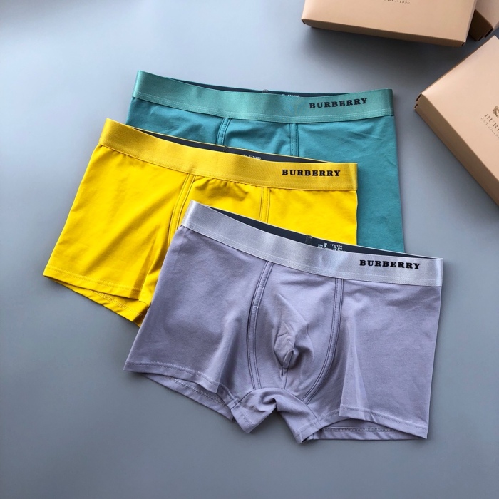 Underpants Top 3 Pieces