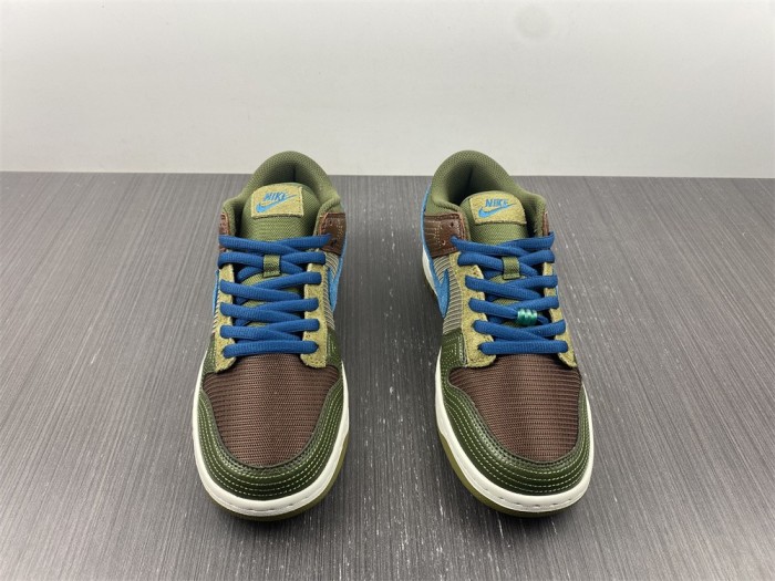 Nike SB Dunk Low DR0159-200