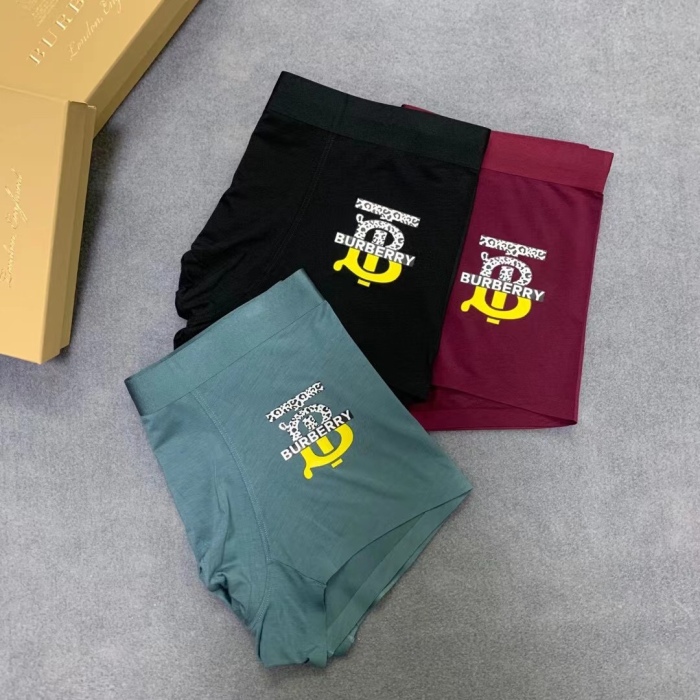 Underpants Top 3 Pieces