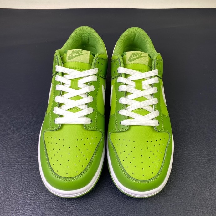 Nike SB Dunk Low DJ6188 300