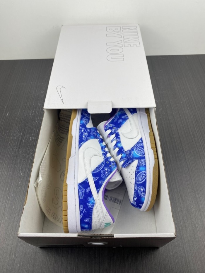 N*ike SB Dunk Low Retro SP CT5053-041