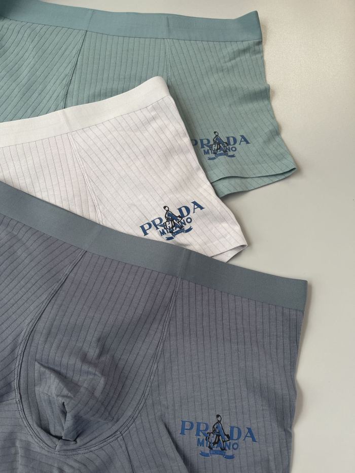 Underpants Top 3 Pieces