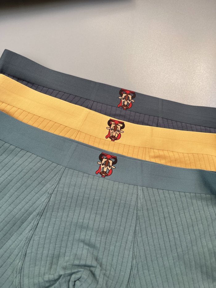Underpants Top 3 Pieces