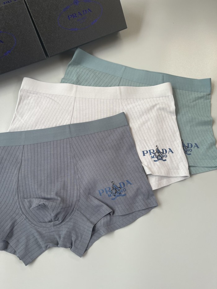 Underpants Top 3 Pieces