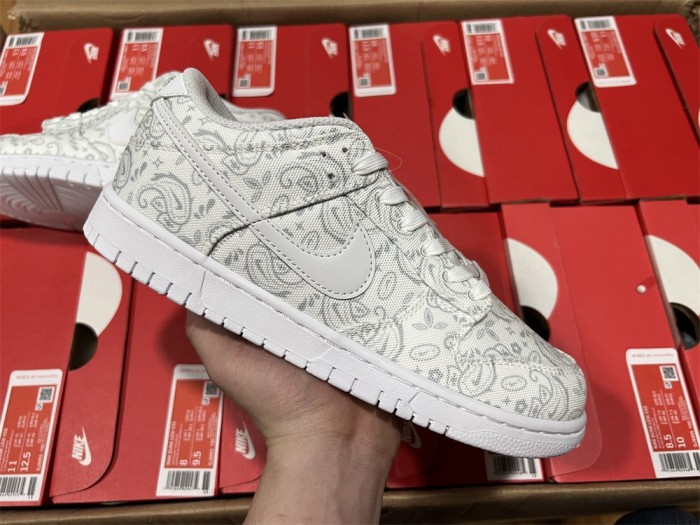 Nike Dunk Low DJ9955-100