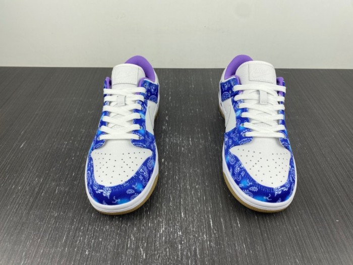 N*ike SB Dunk Low Retro SP CT5053-041