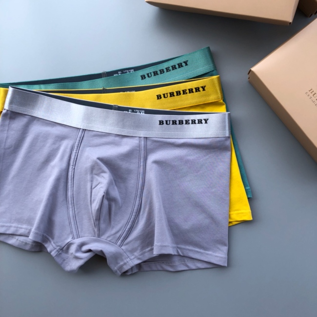 Underpants Top 3 Pieces