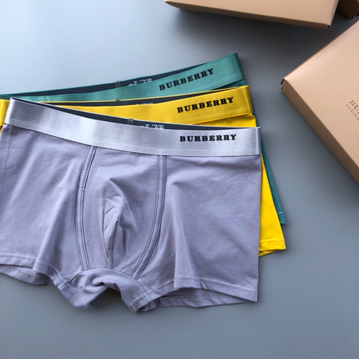 Underpants Top 3 Pieces
