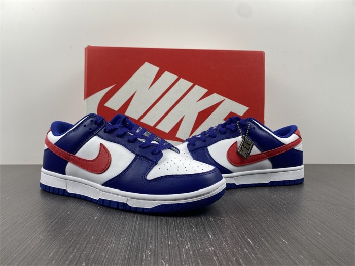NIKE DUNK LOW DD1503-119