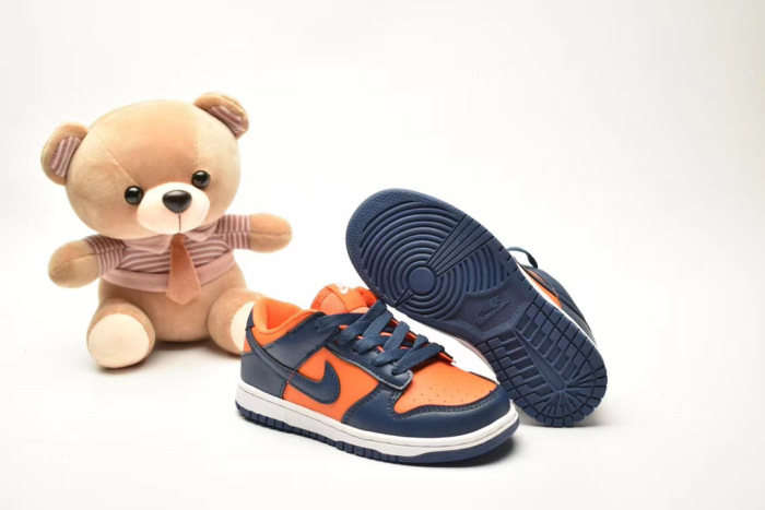 Kids SB Dunk Shoes