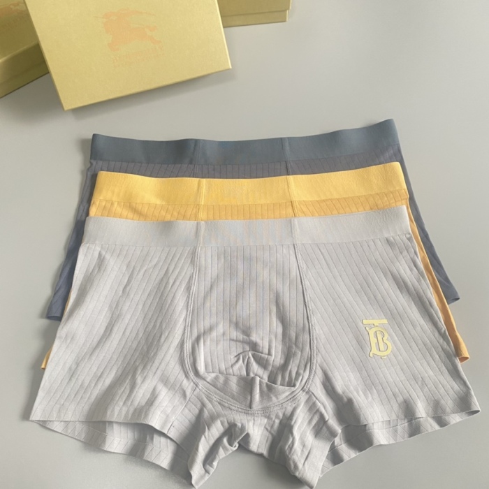Underpants Top 3 Pieces