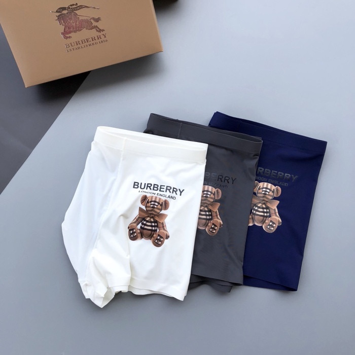 Underpants Top 3 Pieces