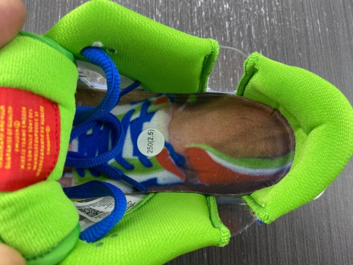 eBay x Nk SB Dunk Low Sandy Bodecker FD8777-100