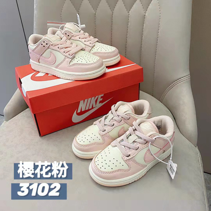 Kids SB Dunk Shoes