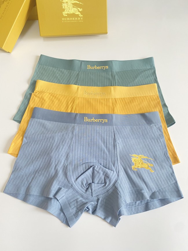 Underpants Top 3 Pieces