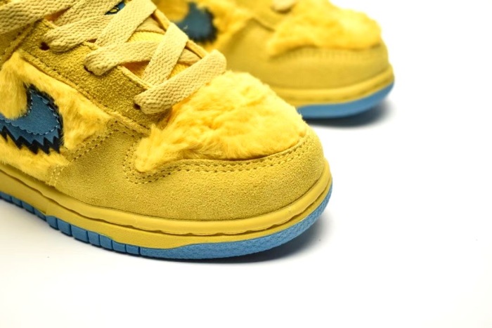 Kids SB Dunk Shoes