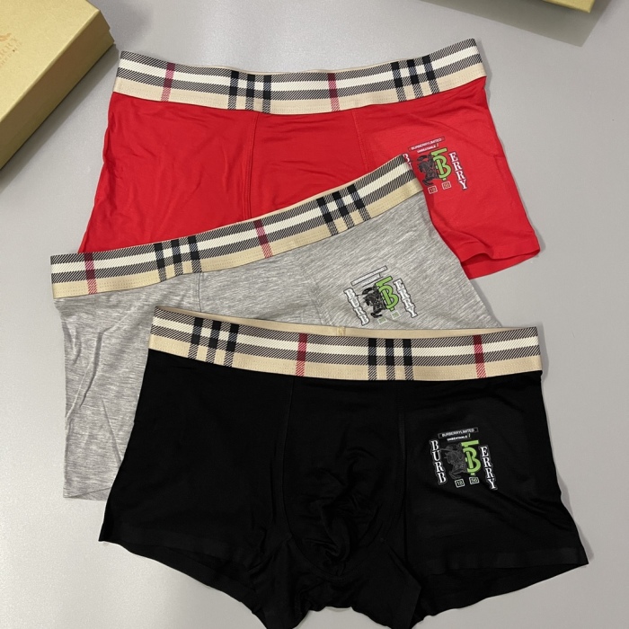 Underpants Top 3 Pieces