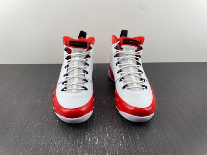 Air Jordan 9 302370-160