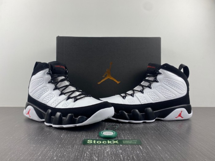 Air Jordan 9 302370-112
