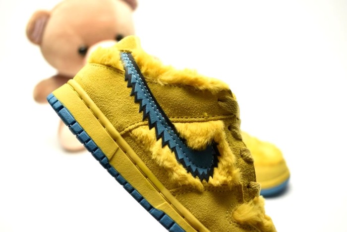 Kids SB Dunk Shoes