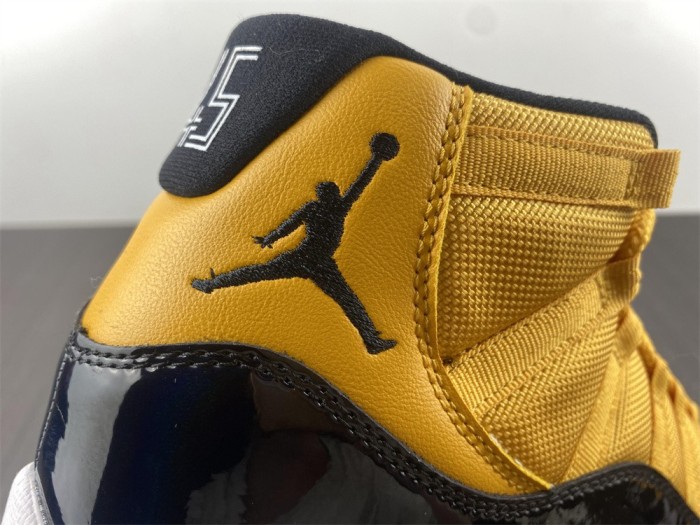 Air Jordan 11