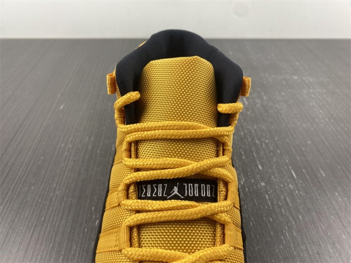 Air Jordan 11