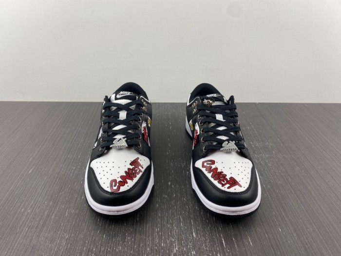 Nike SB Dunk LOW DD1391-100