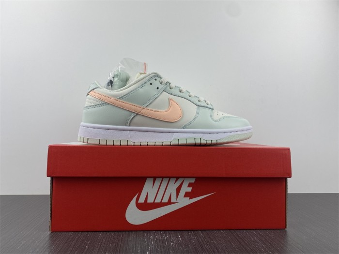 Nike SB Dunk Low DD1503-104
