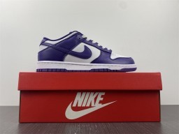 NIKE DUNK LOW Court Purple DD1391-104