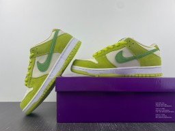 NIKE DUNK LOW DM0807-300