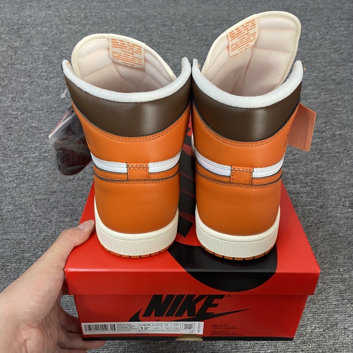 Air Jordan 1 High Starfish DO9369-101
