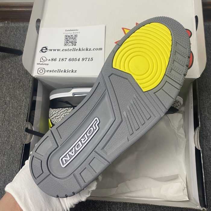 Air Jordan 3 Retro Oregon Duck