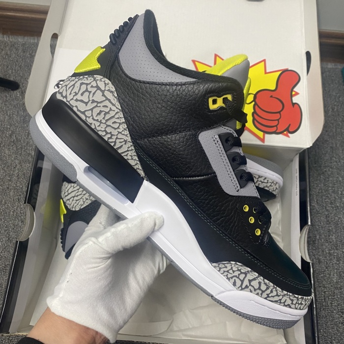 Air Jordan 3 Retro Oregon Duck