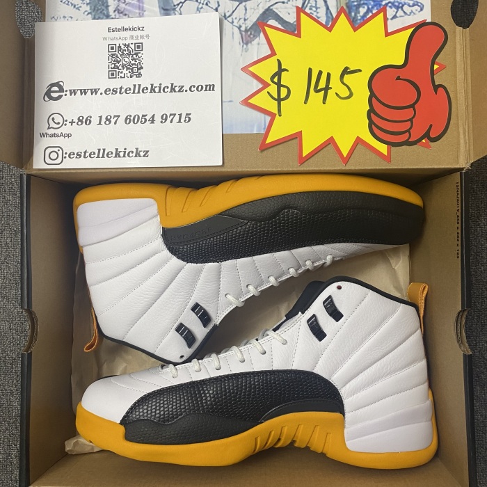 Air Jordan 12 Retro DR8887-100