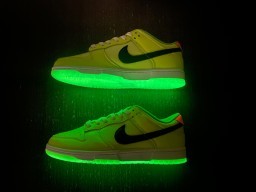 N*ike D*unk Low “Glow in the Dark” FJ4610-702