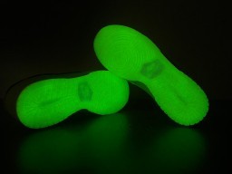 N*ike D*unk Low “Glow in the Dark” FJ4610-702