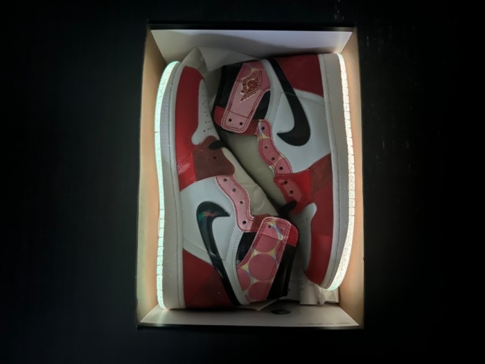 Air Jordan 1  DV1748 601