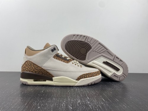 Air Jordan 3 “Palomino”  CT8532-102